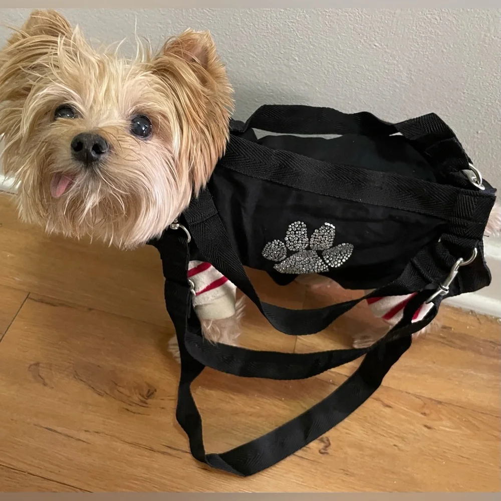 Black Paw Print Puppy Purse and Harness Large